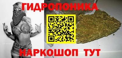 эйфоретик Гусиноозёрск
